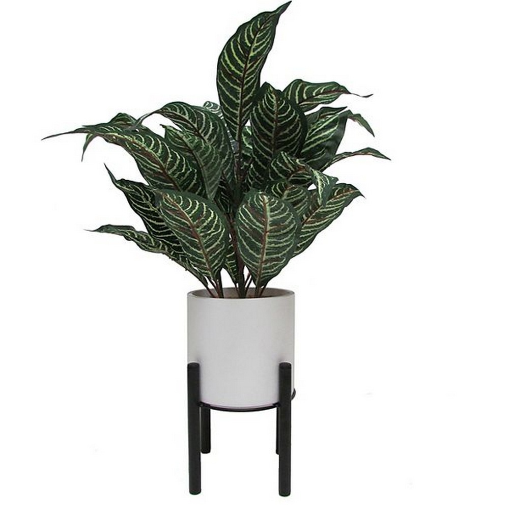 Botanical greenerly