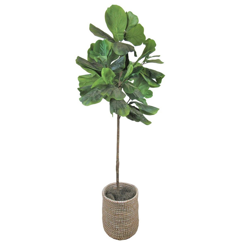 Botanical greenerly