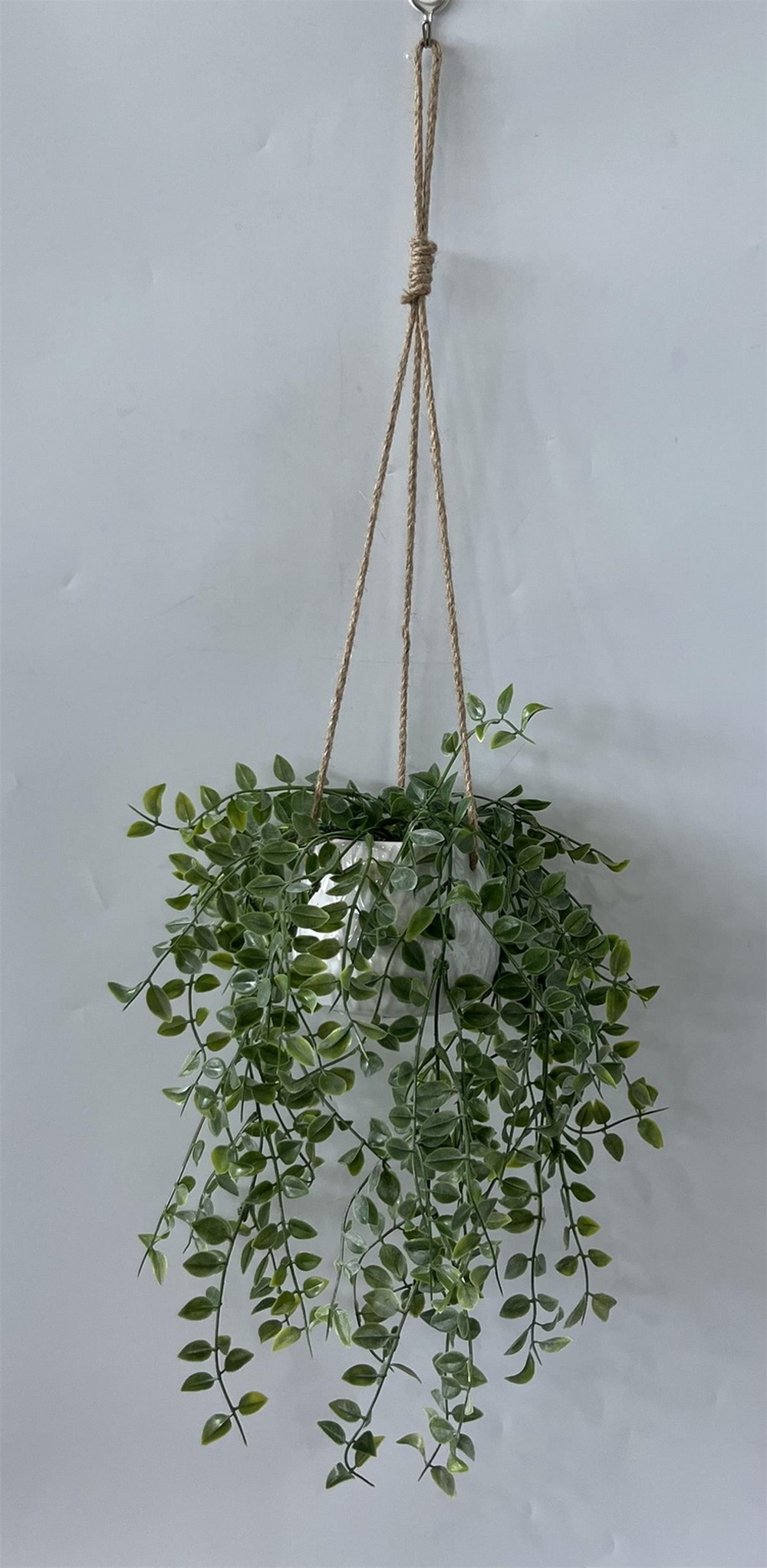 Botanical greenerly