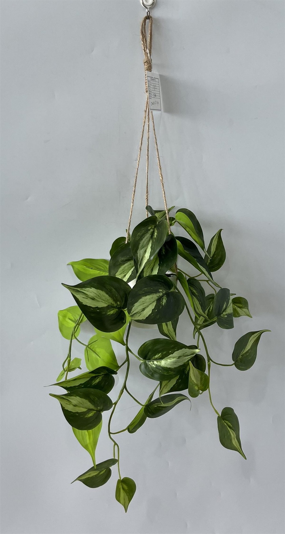 Botanical greenerly