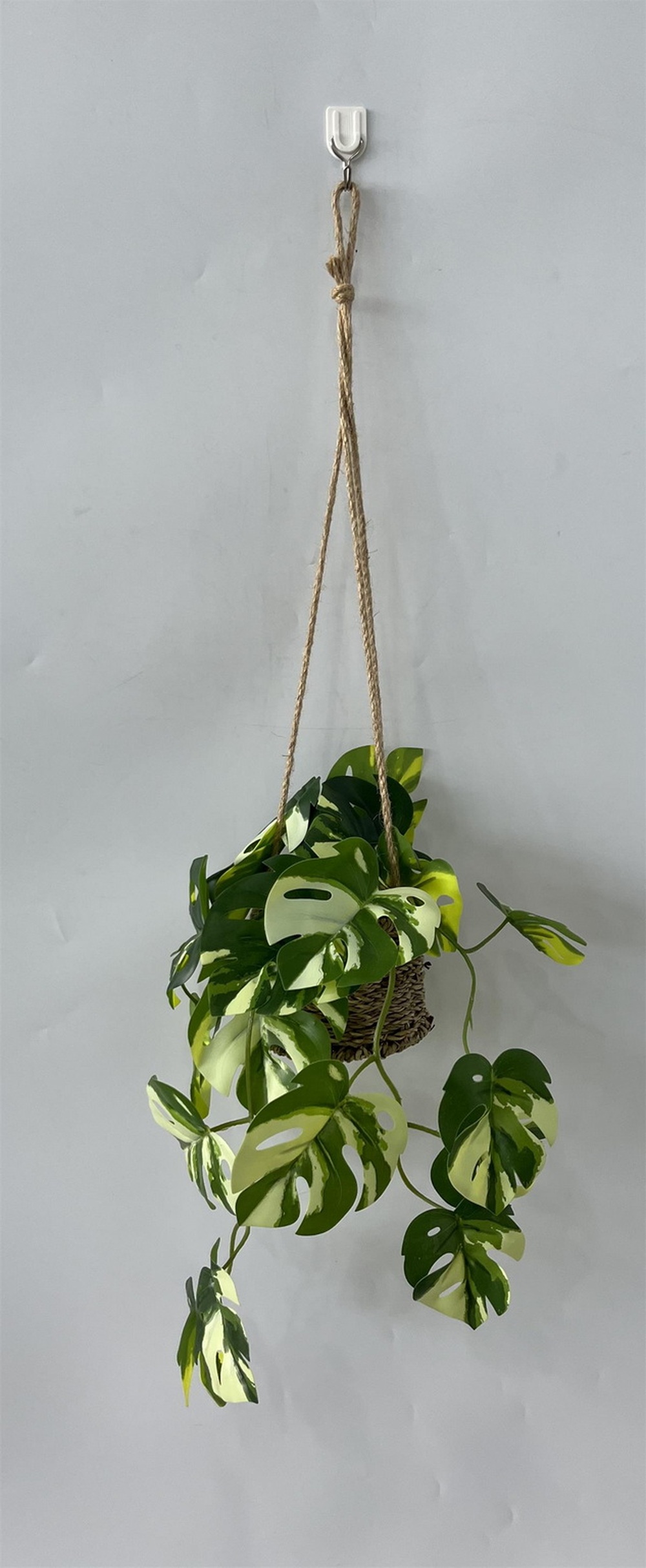 Botanical greenerly