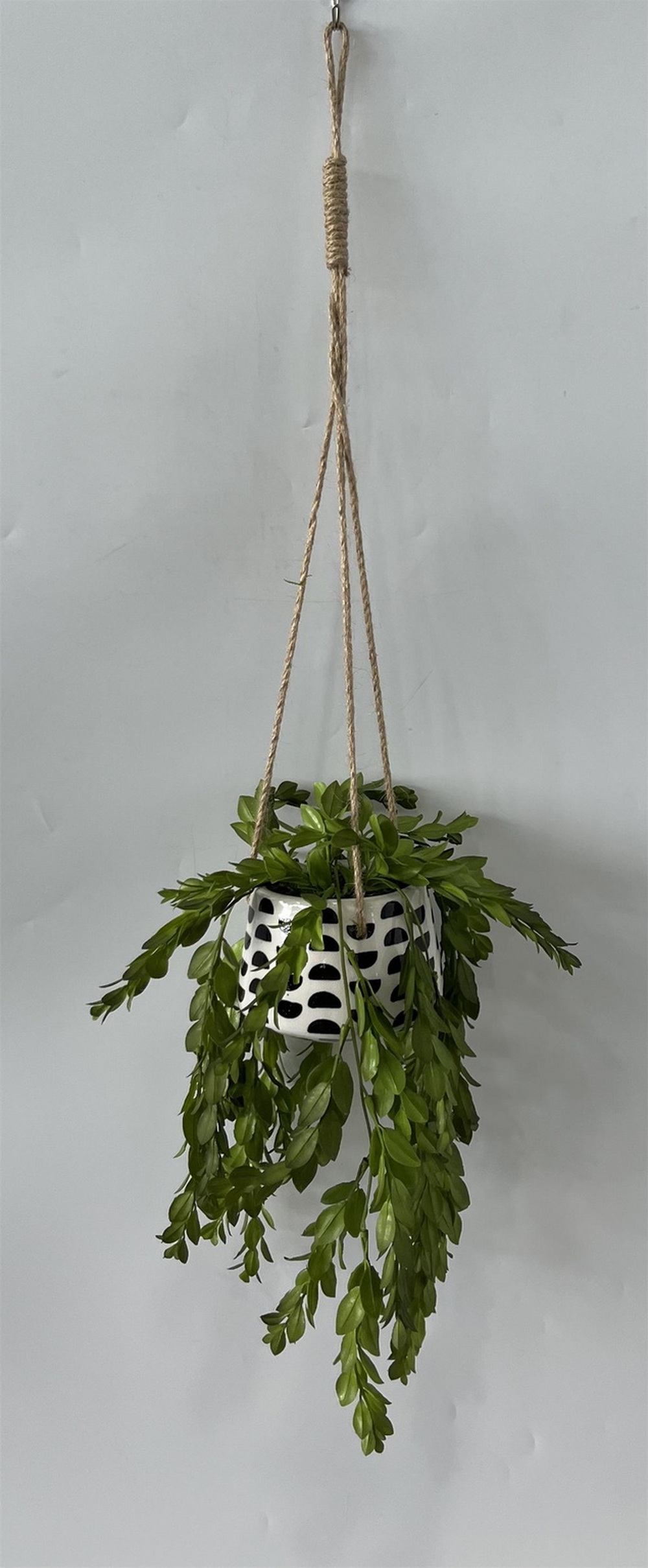 Botanical greenerly