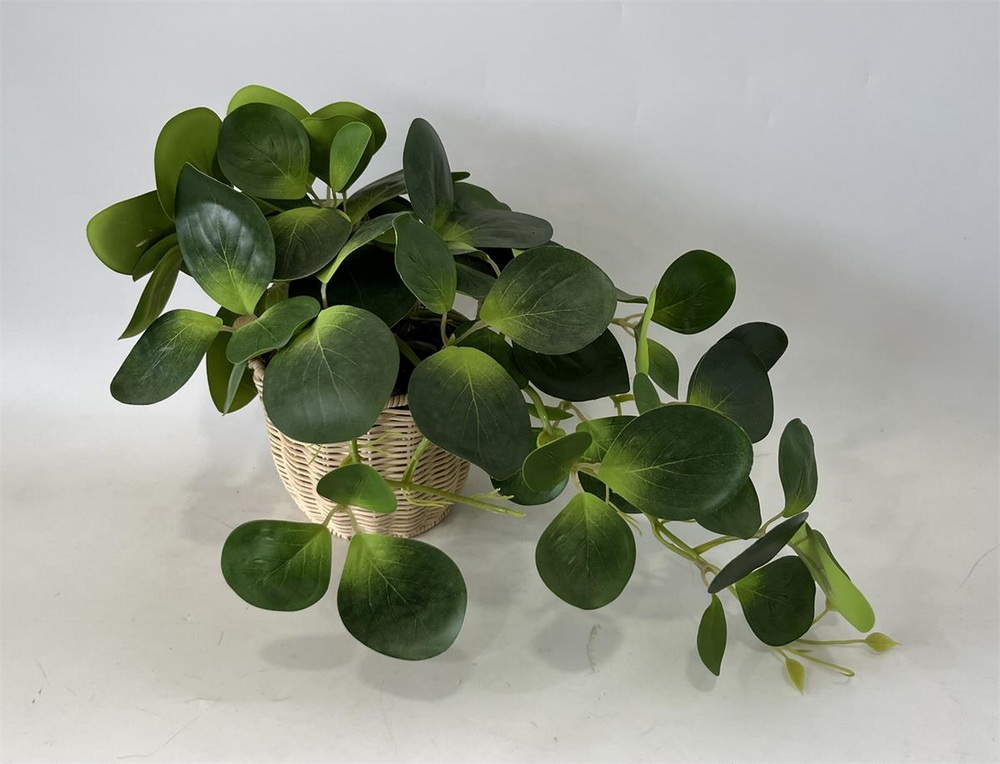 Botanical greenerly