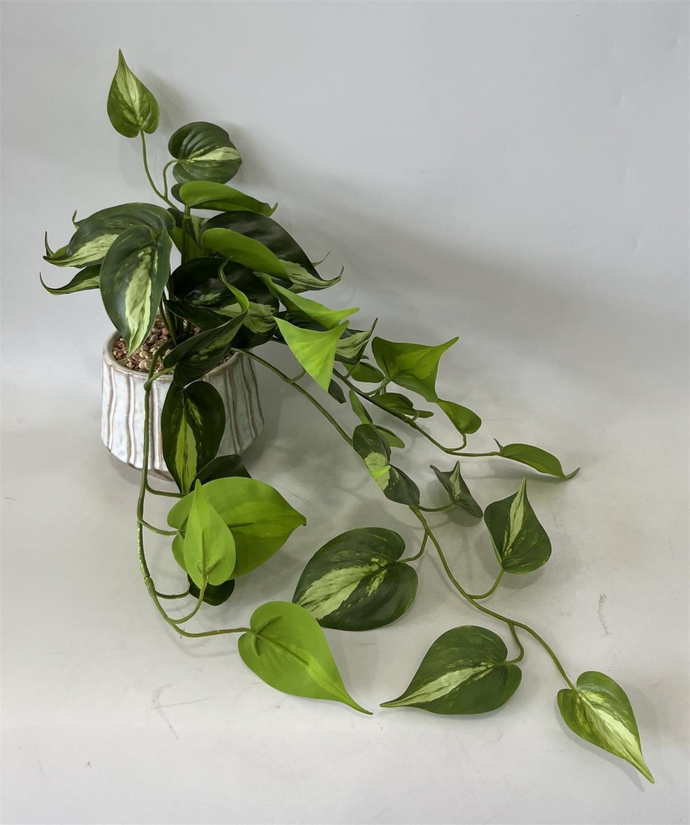 Botanical greenerly