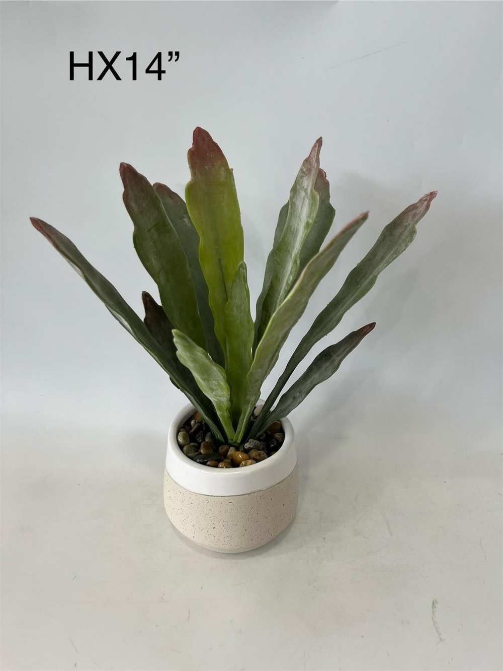 Botanical greenerly