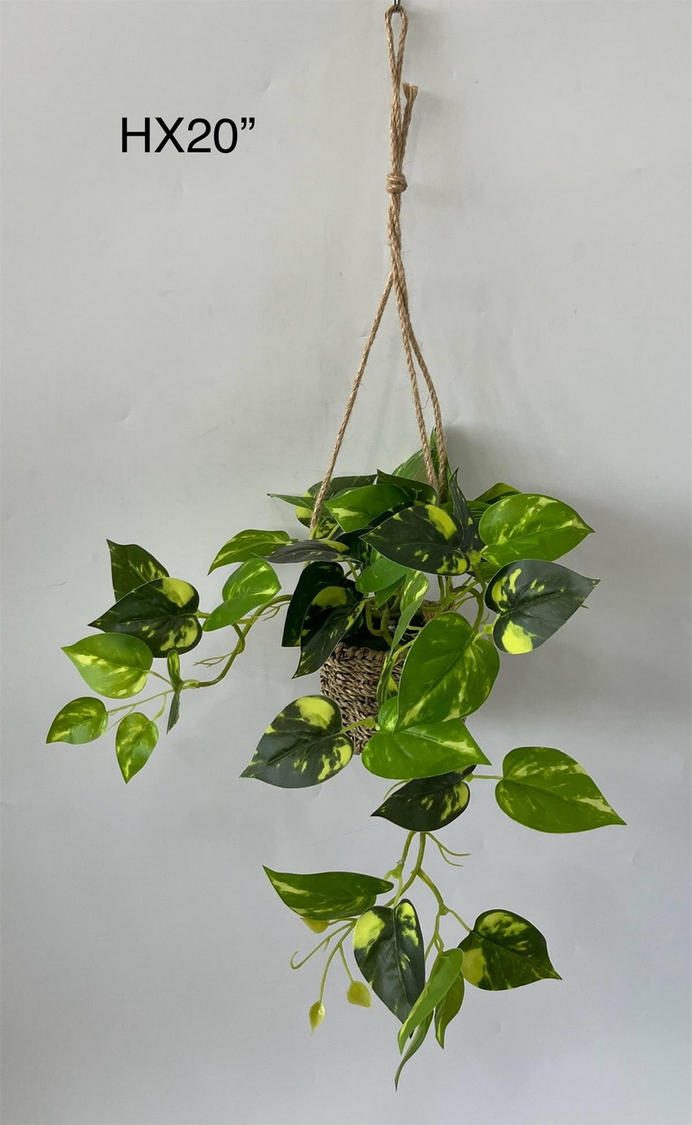 Botanical greenerly