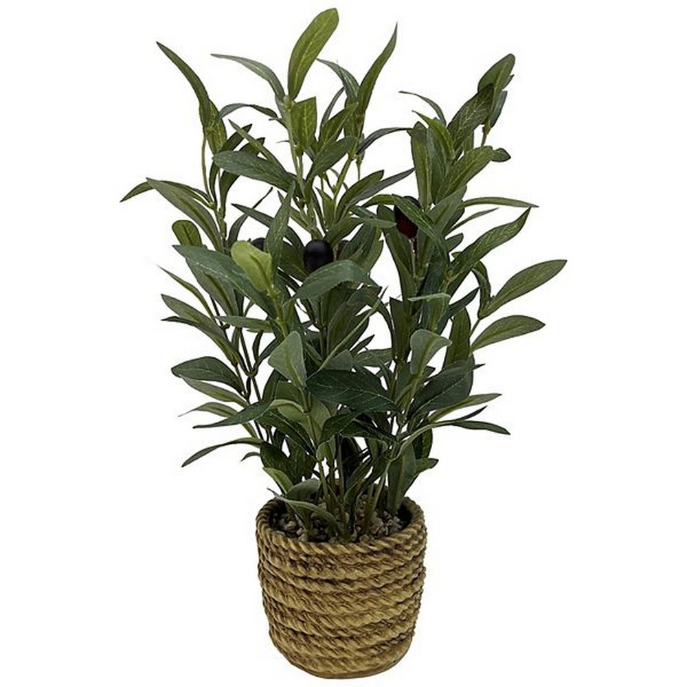 Botanical greenerly