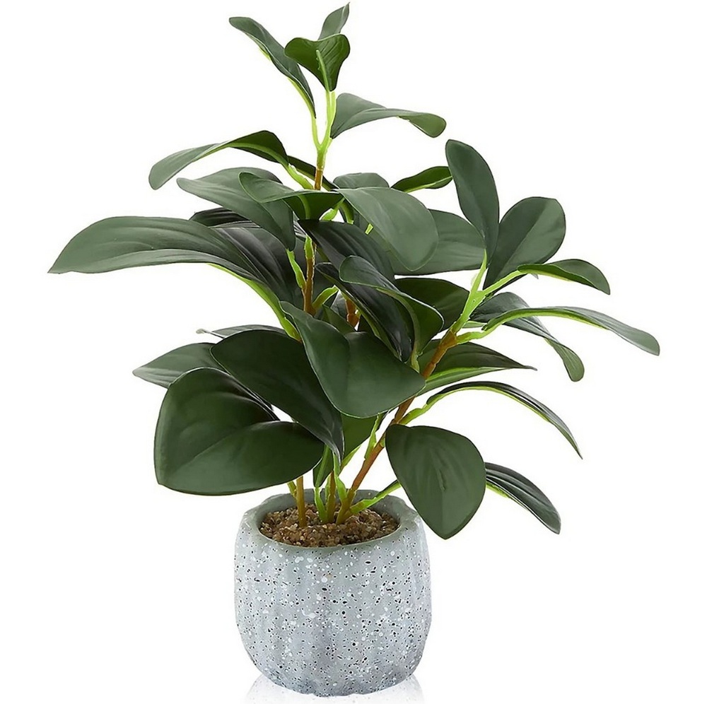 Botanical greenerly