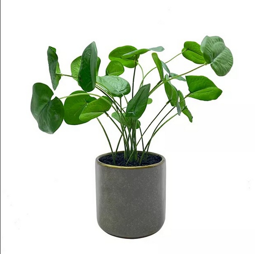 Botanical greenerly