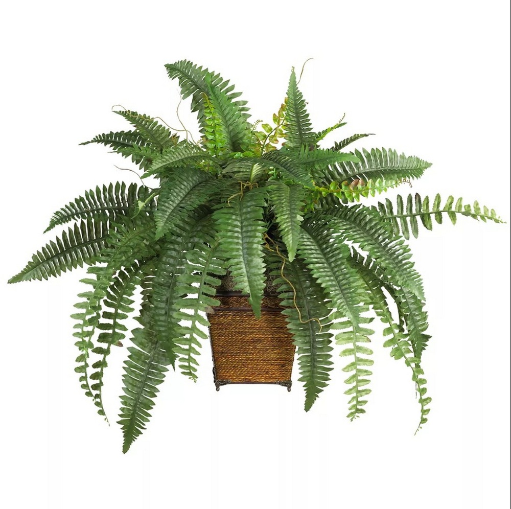 Botanical greenerly