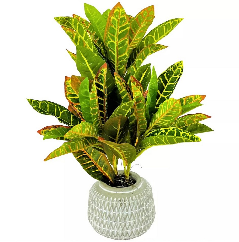 Botanical greenerly