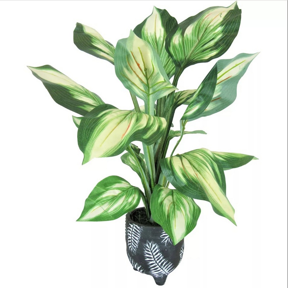 Botanical greenerly