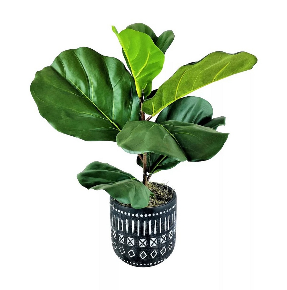 Botanical greenerly