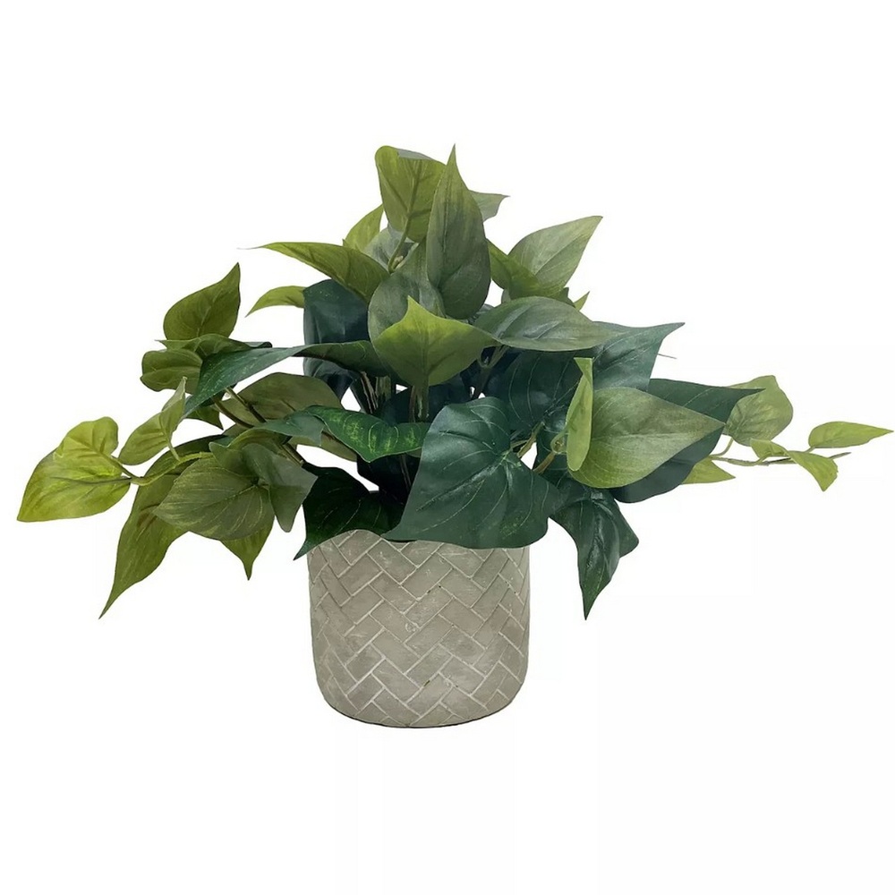 Botanical greenerly