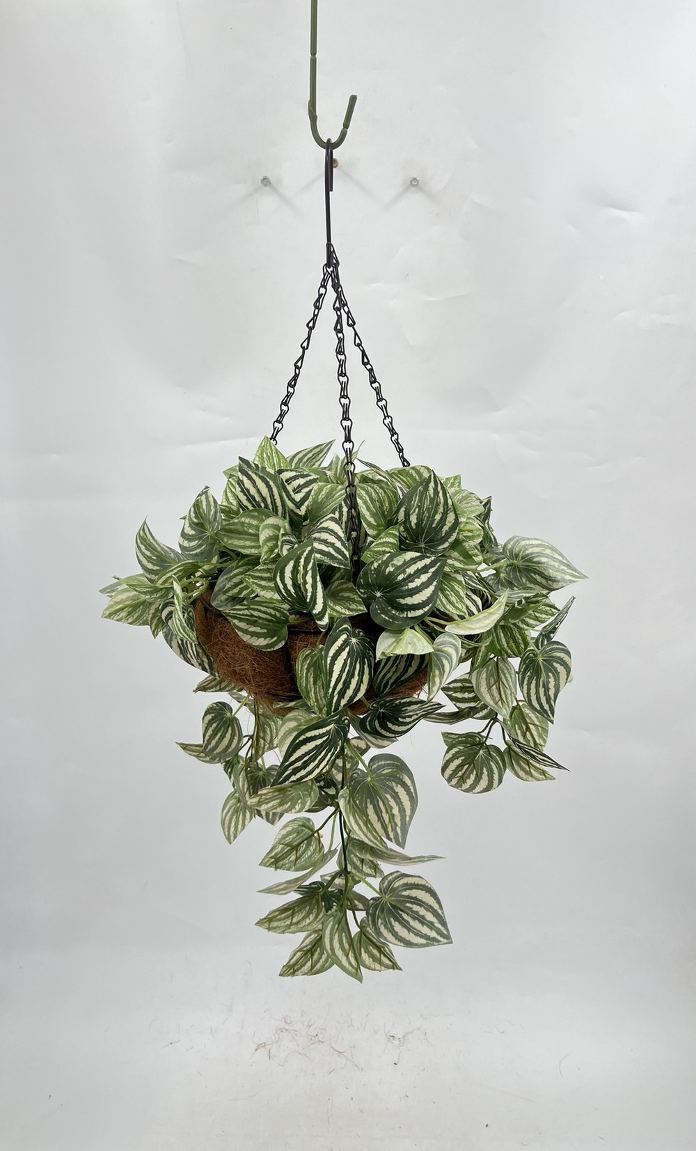 Botanical greenerly