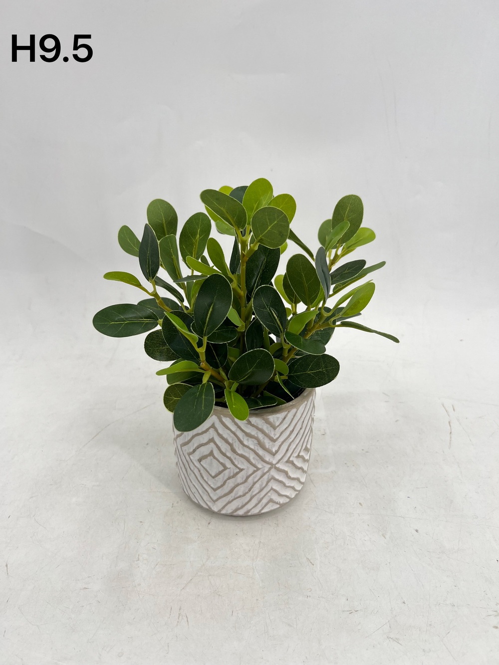 Botanical greenerly