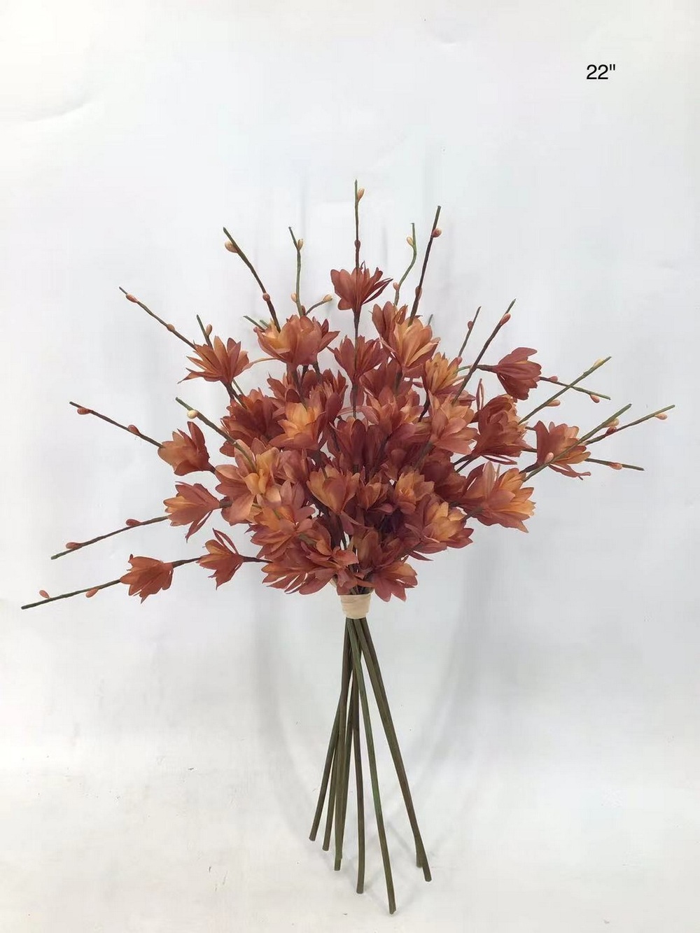 Botanical stem