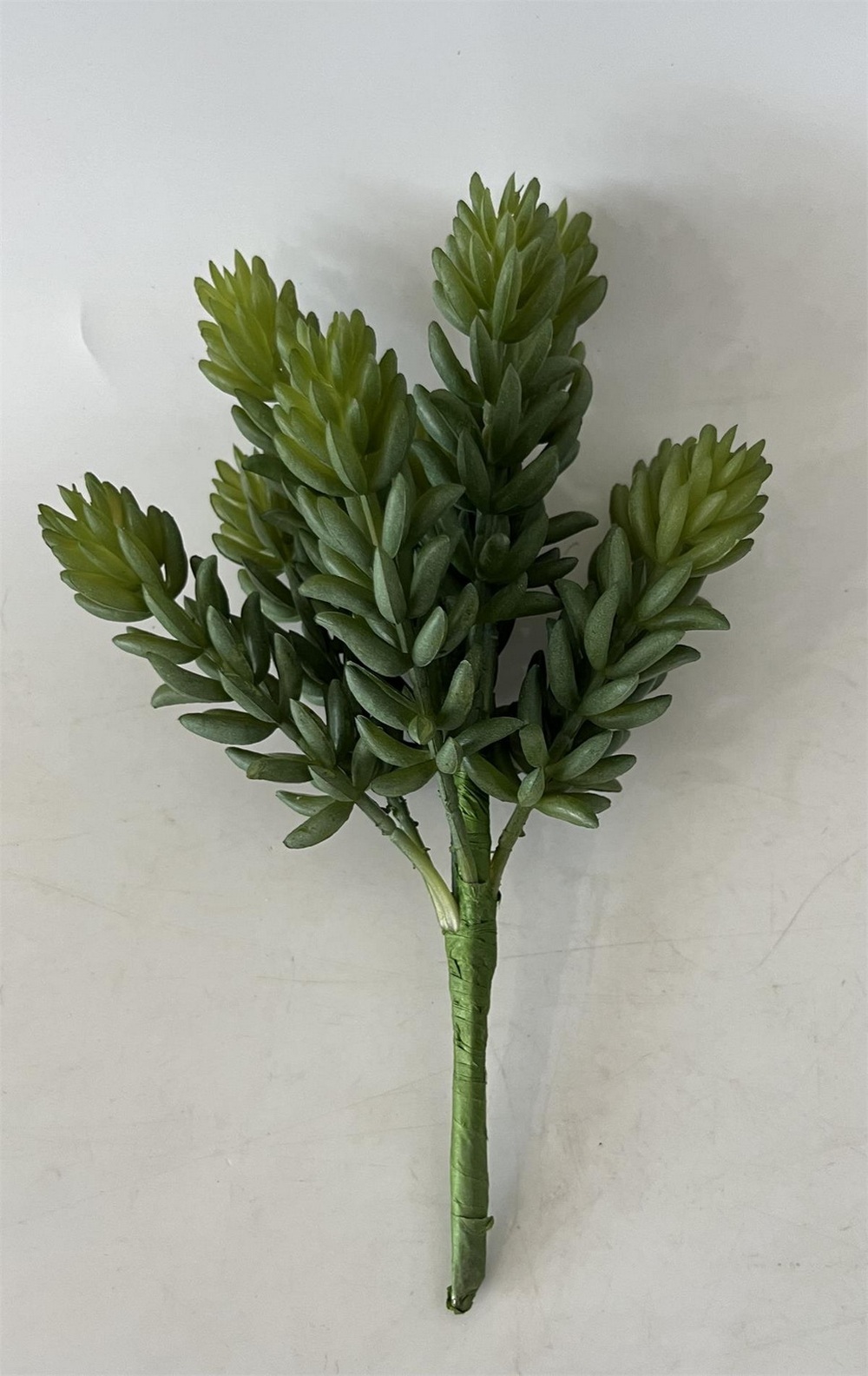 Botanical stem