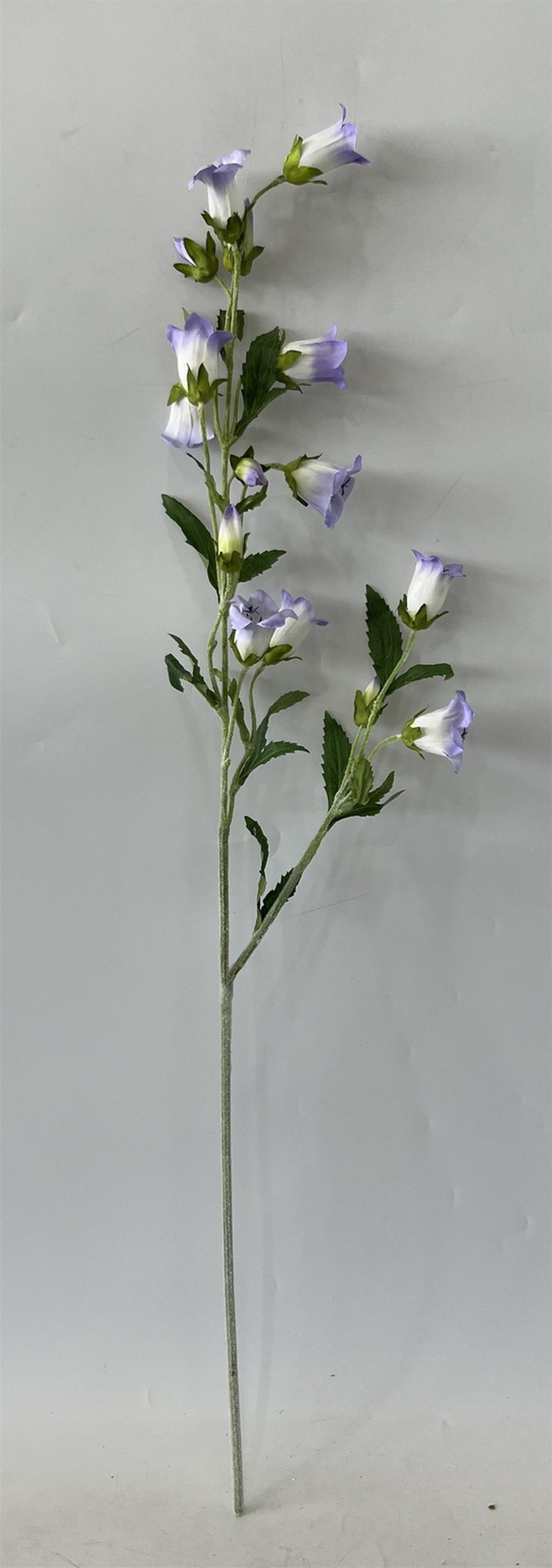Botanical stem