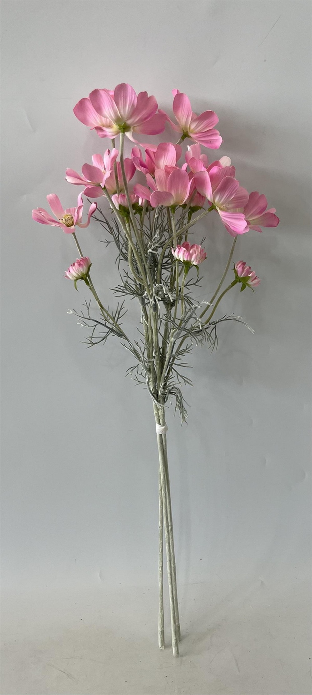 Botanical stem