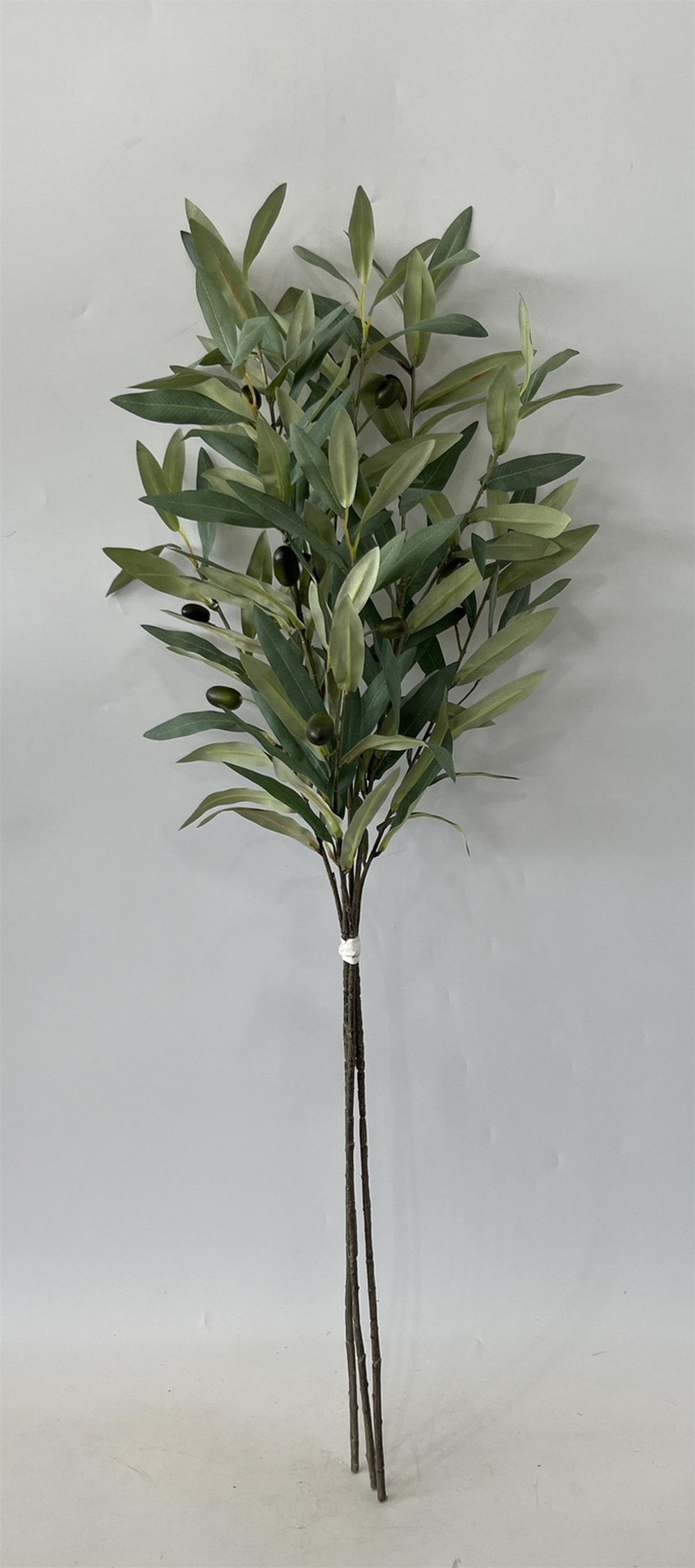 Botanical stem