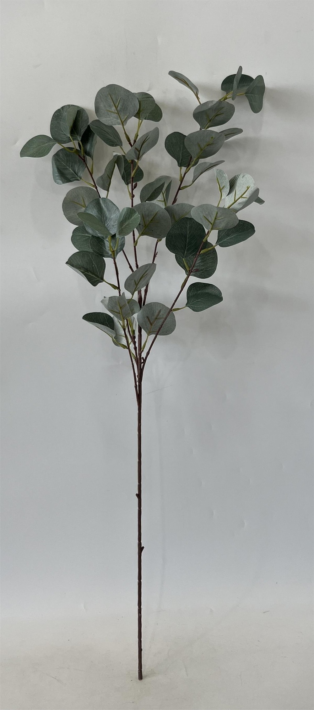 Botanical stem