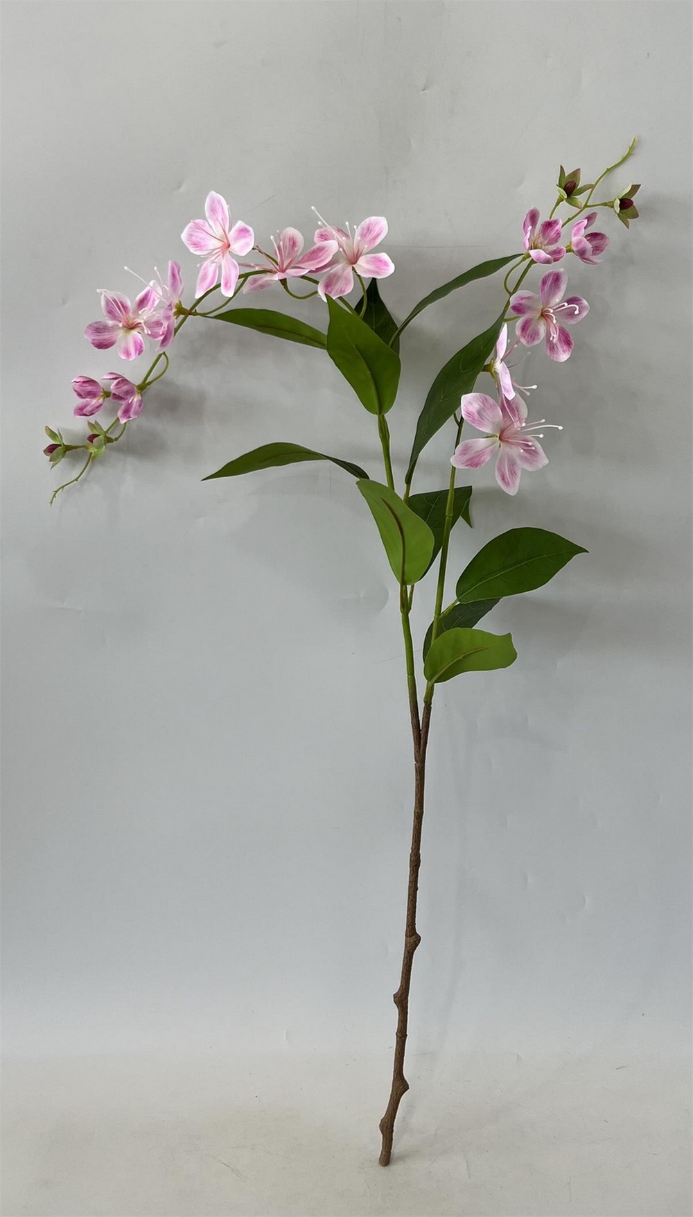 Botanical stem