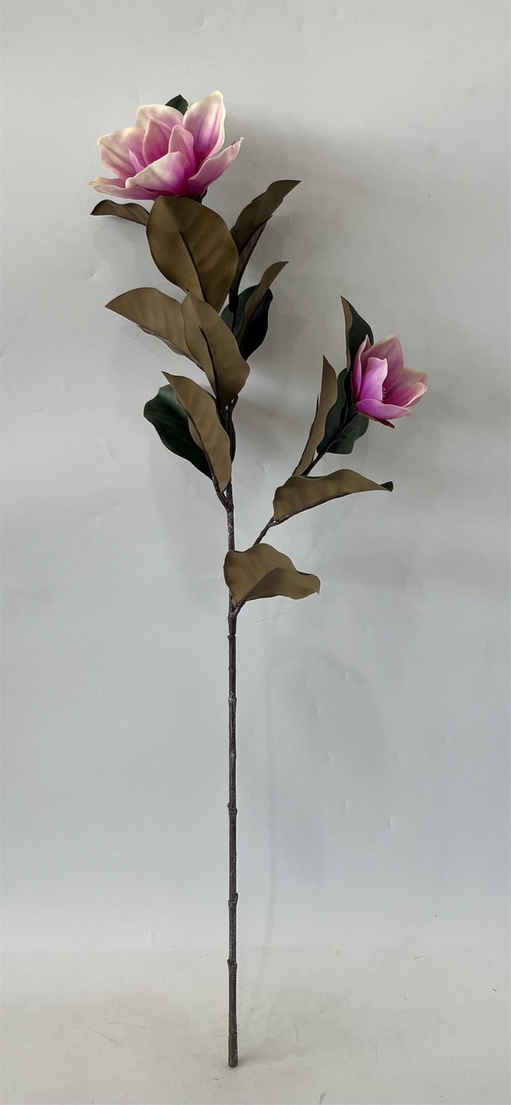 Botanical stem