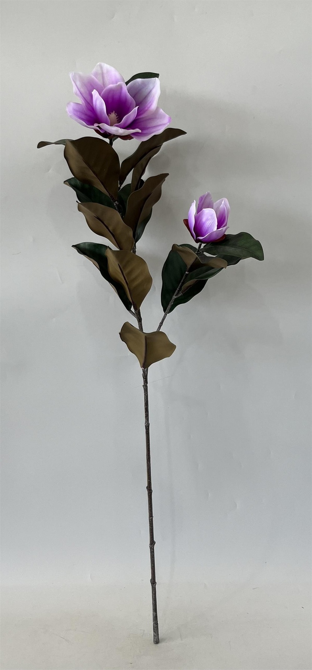 Botanical stem