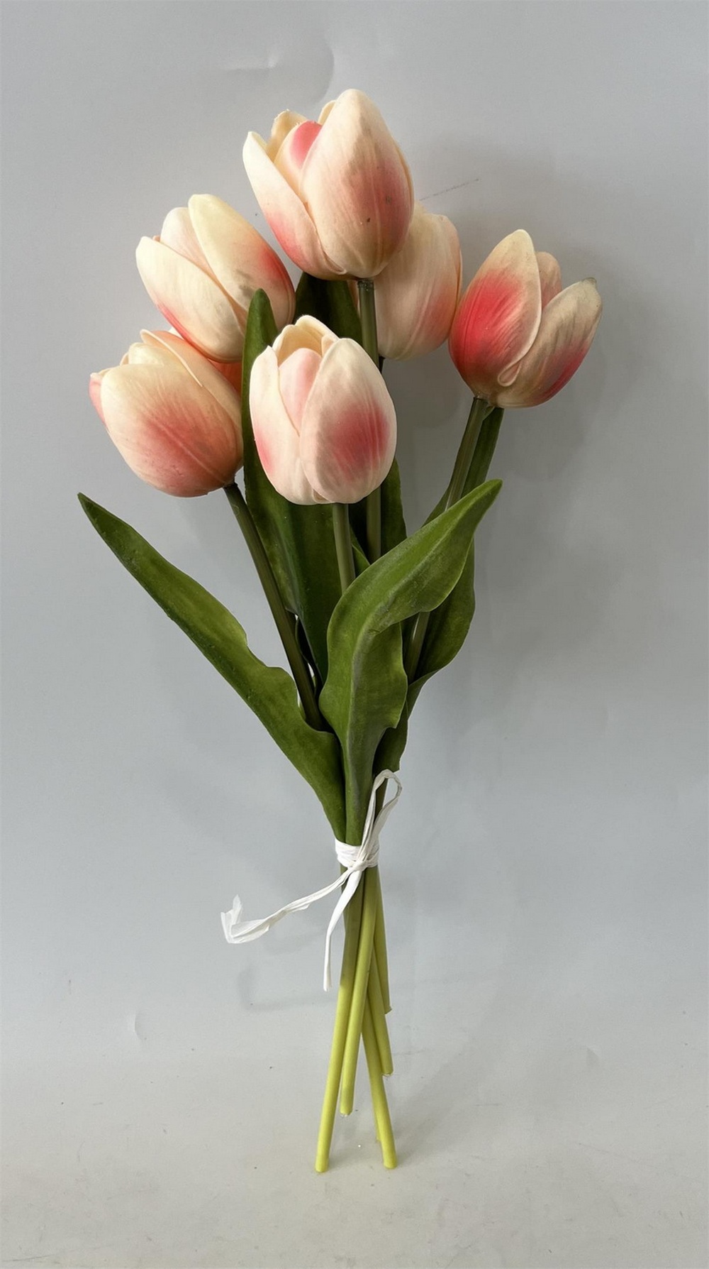 Botanical stem