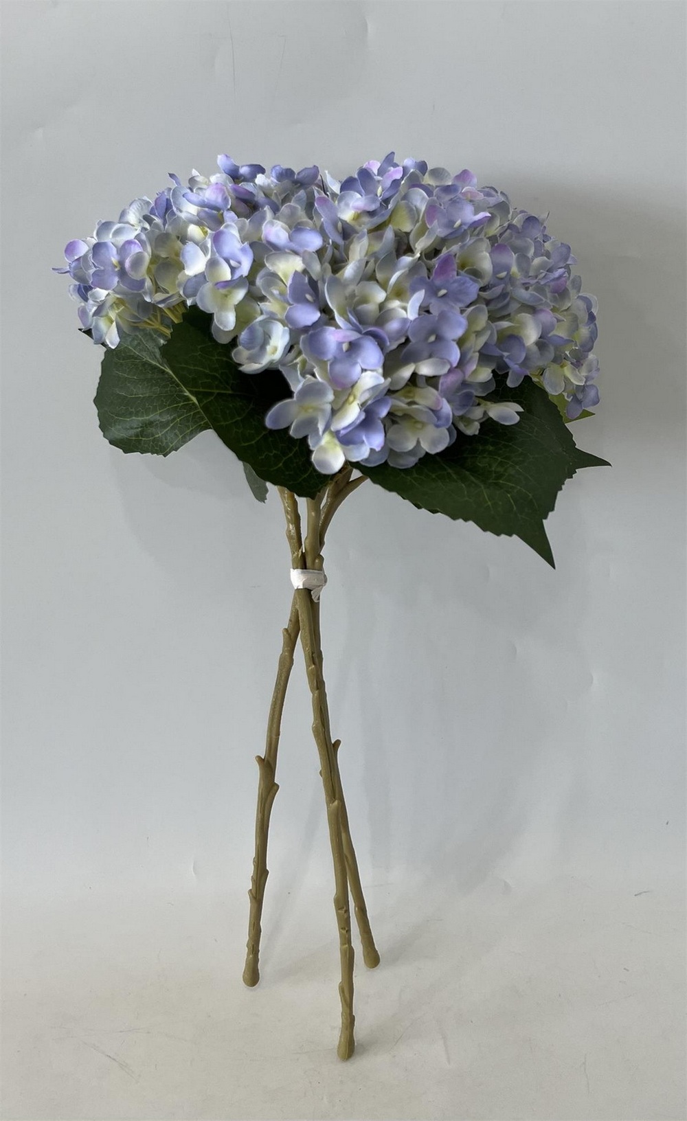 Botanical stem