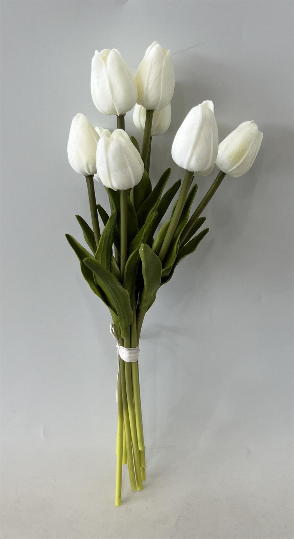 Botanical stem