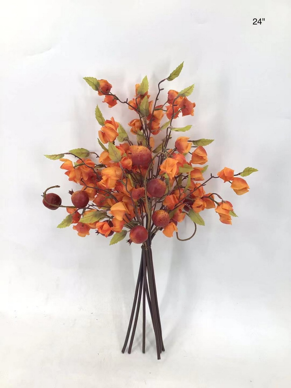 Botanical stem