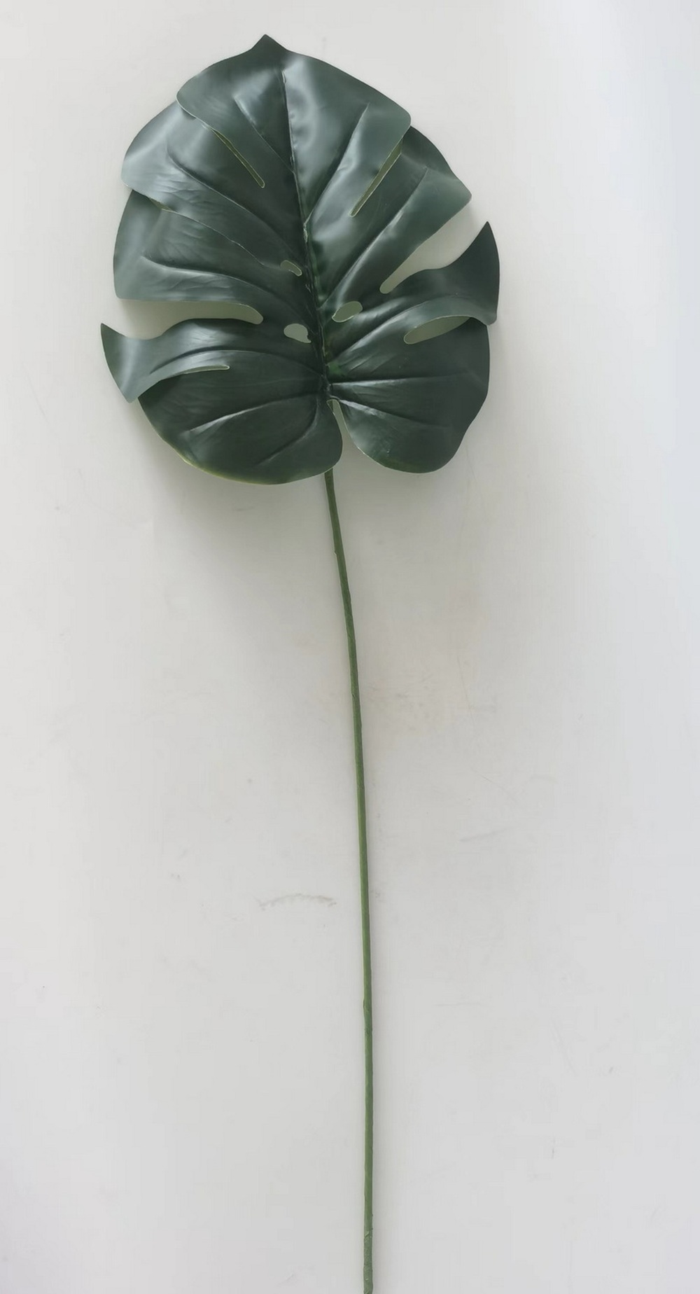 Botanical stem