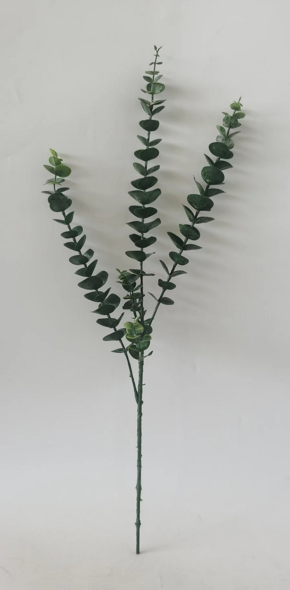 Botanical stem