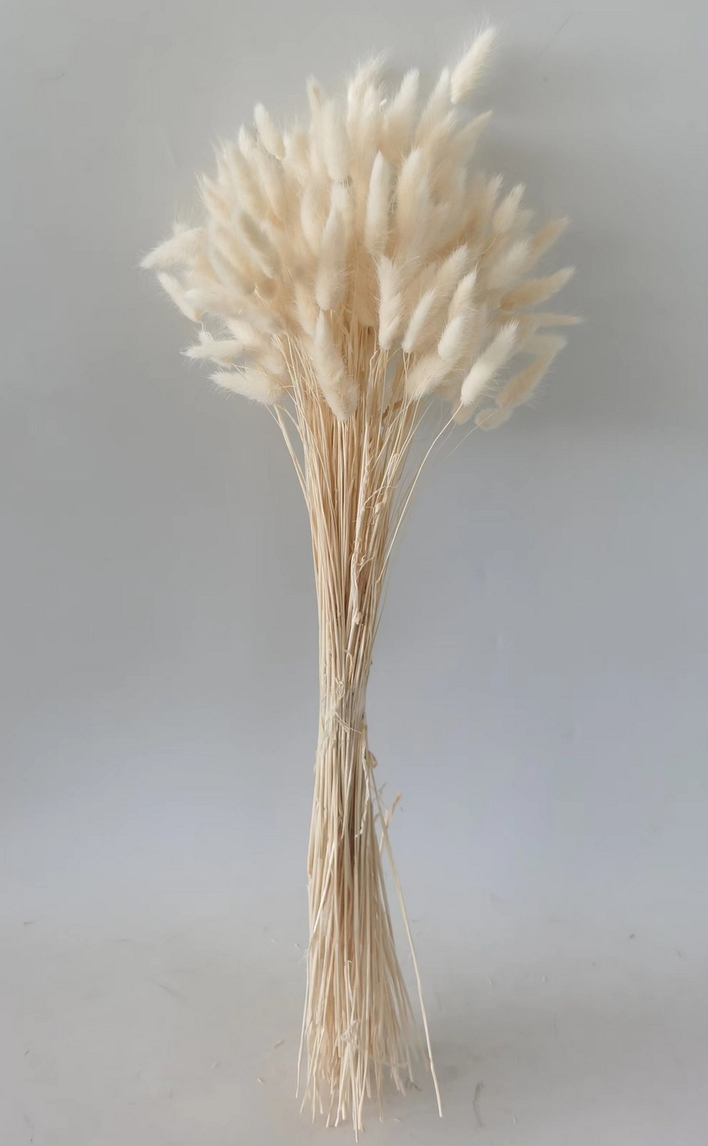 Botanical stem