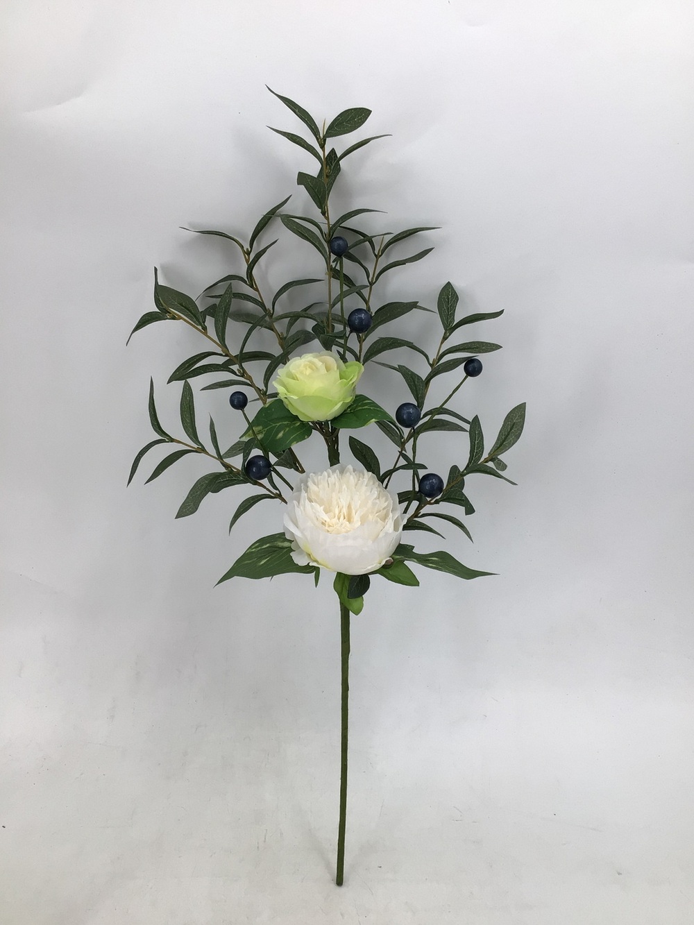 Botanical stem