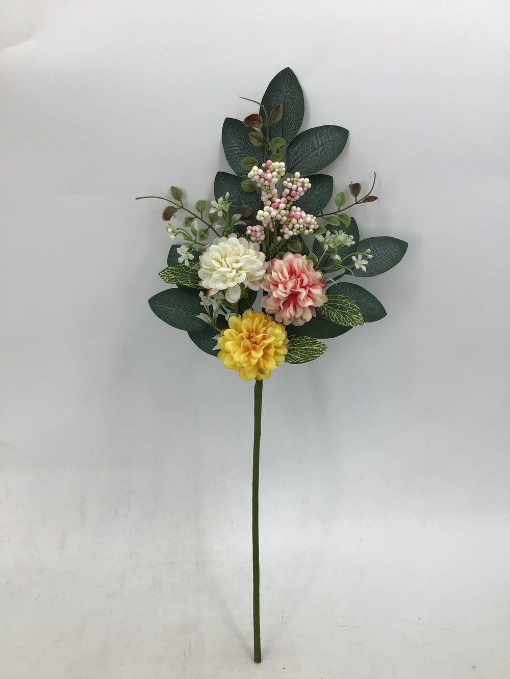 Botanical stem