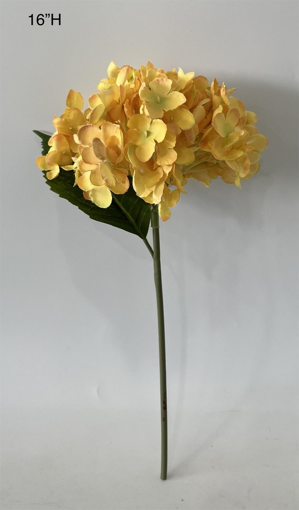 Botanical stem