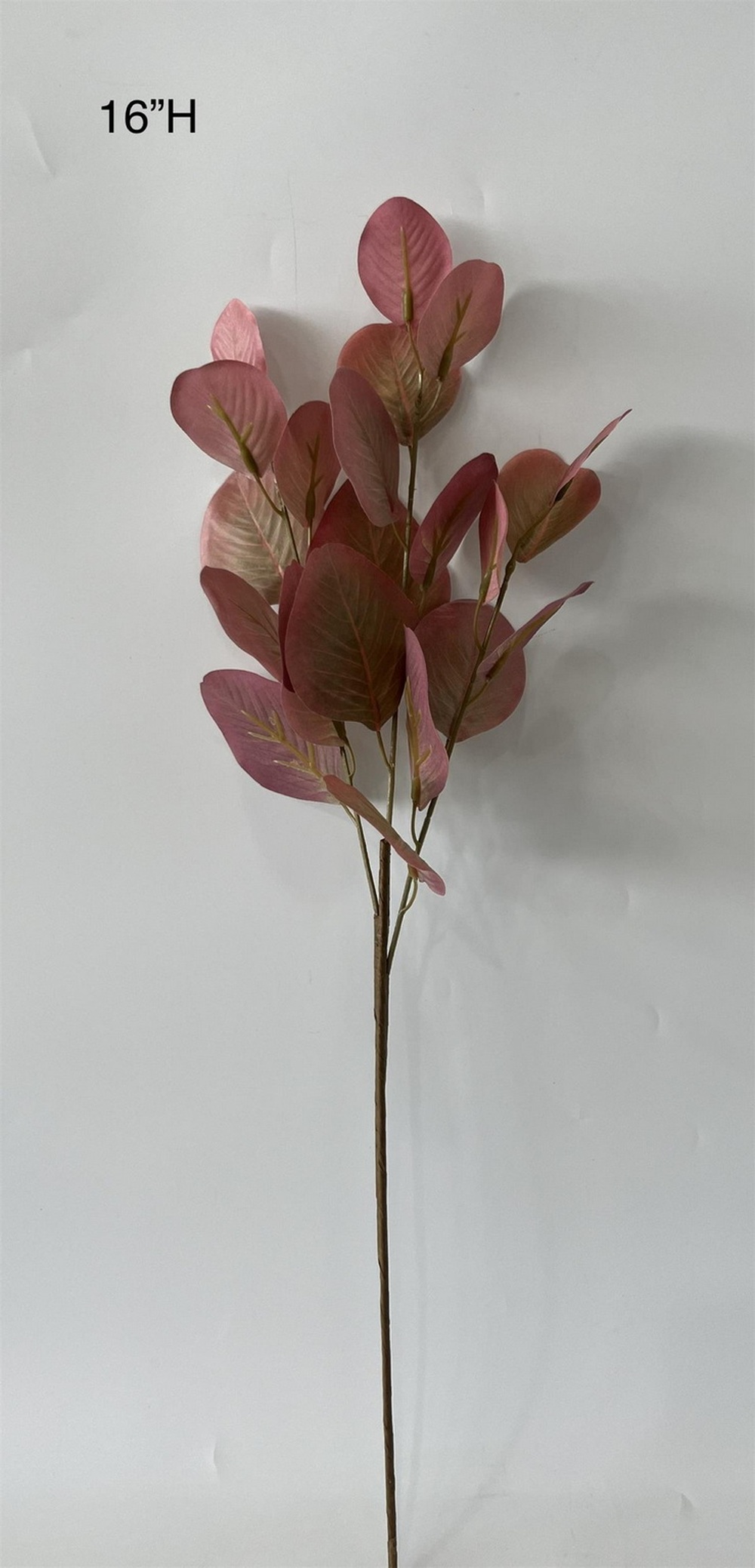 Botanical stem