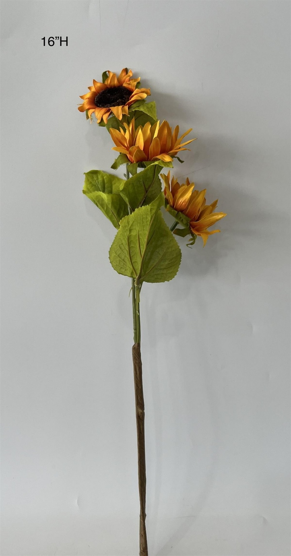 Botanical stem