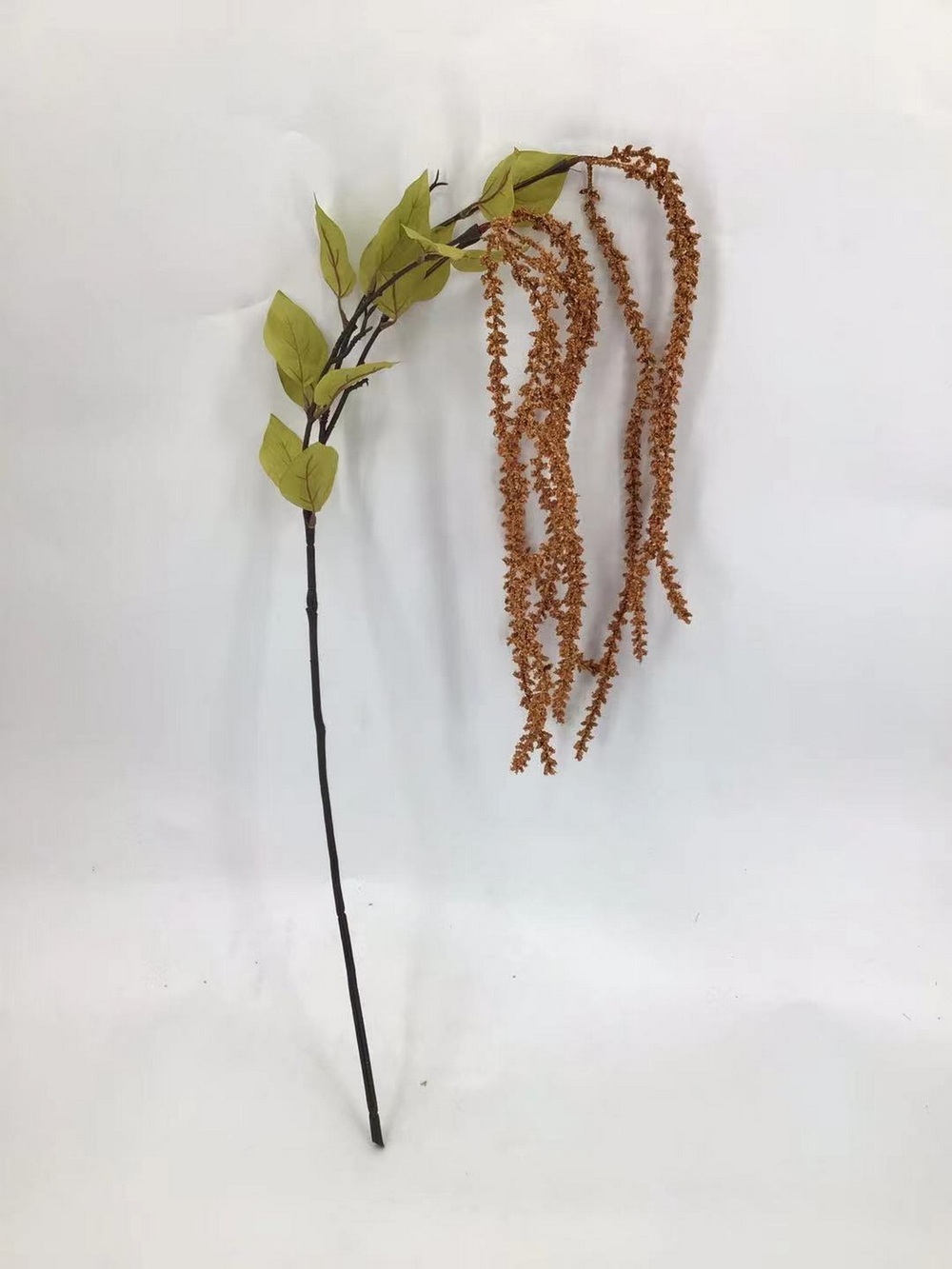 Botanical stem