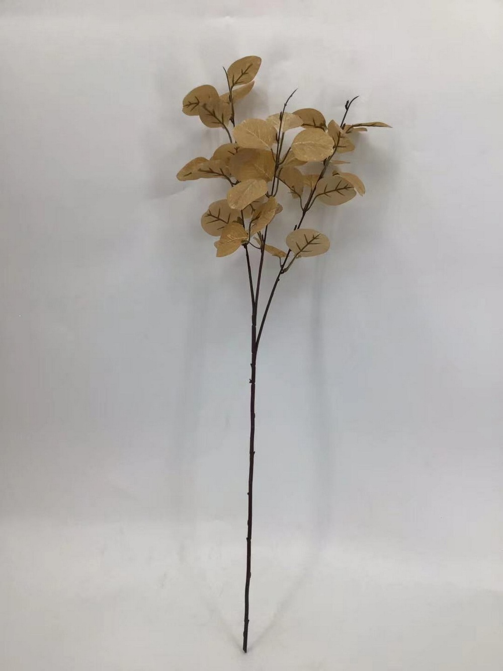 Botanical stem
