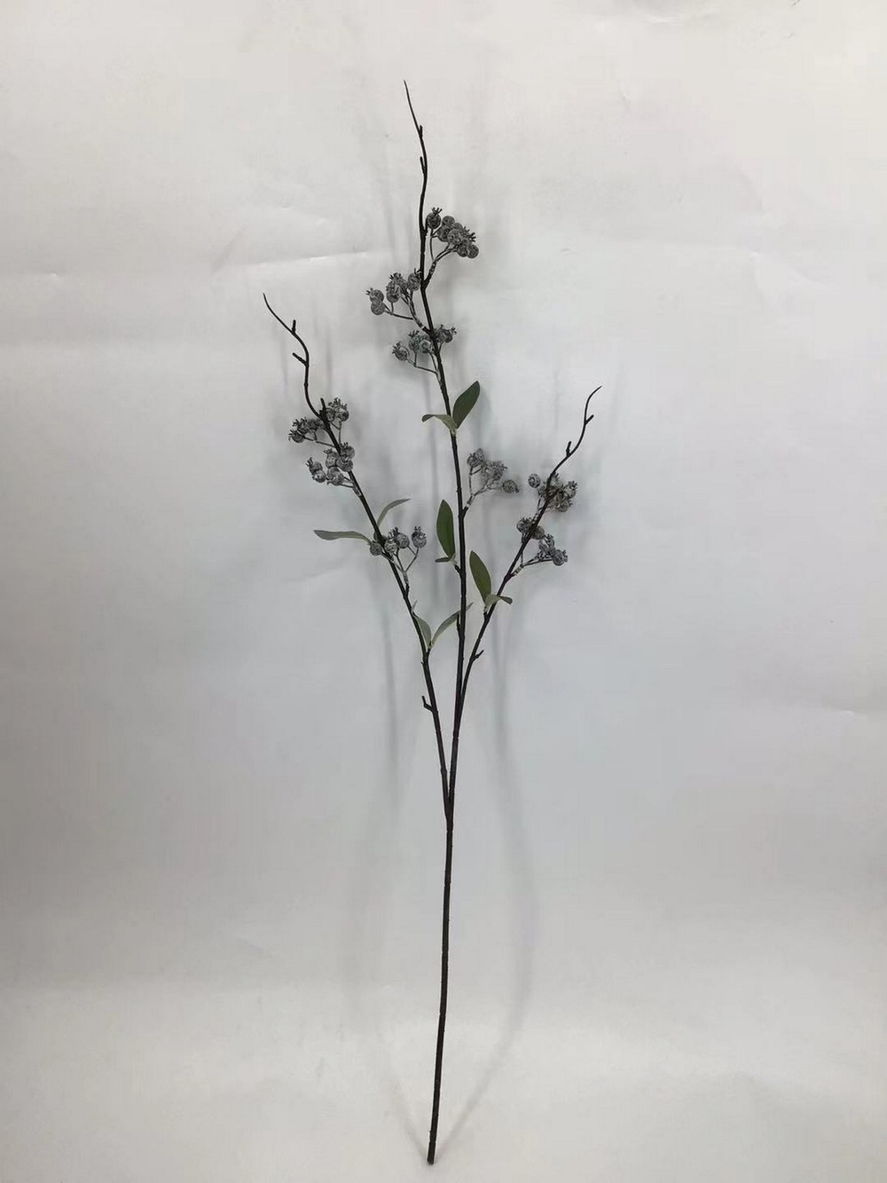 Botanical stem