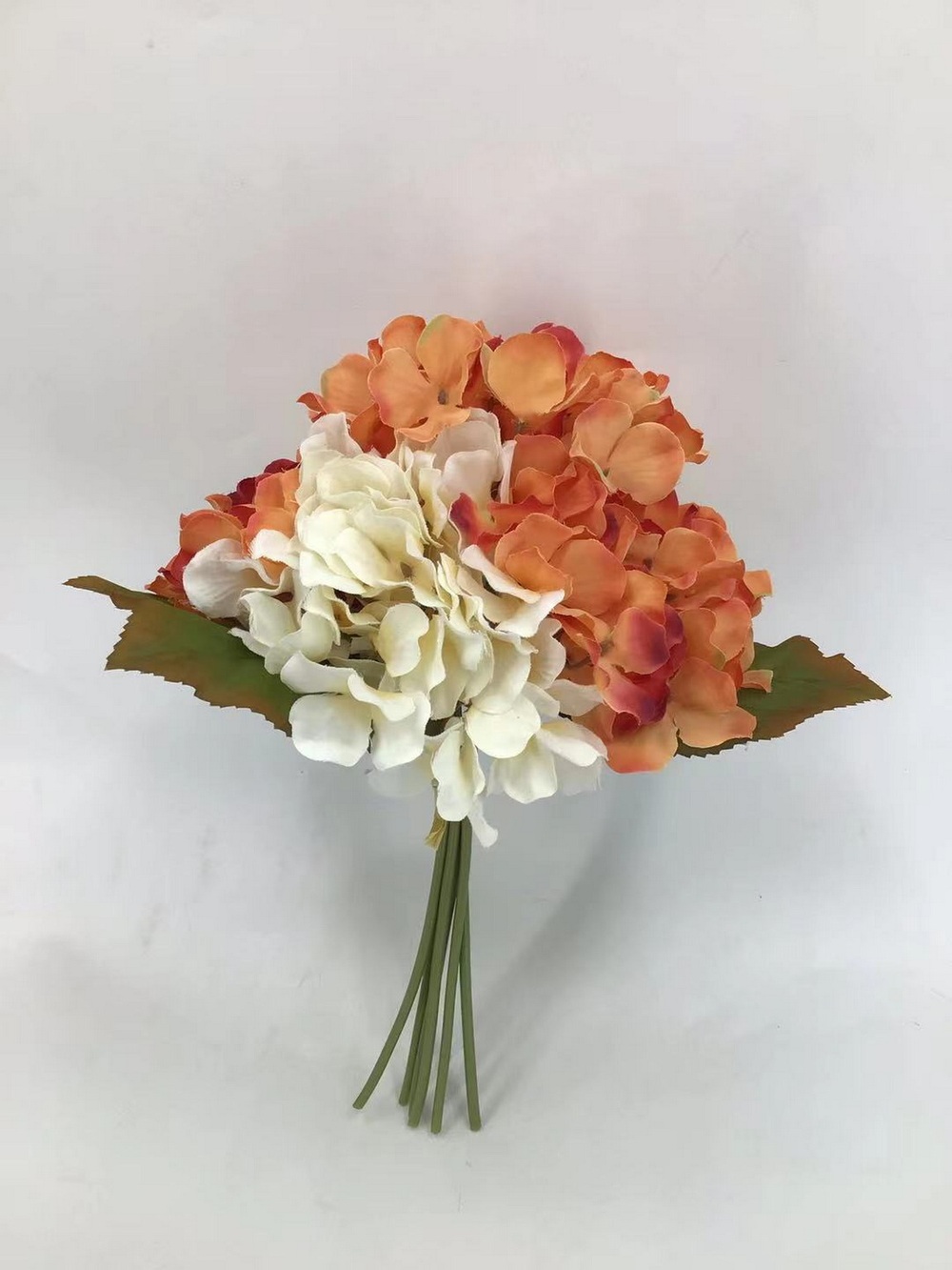Botanical stem