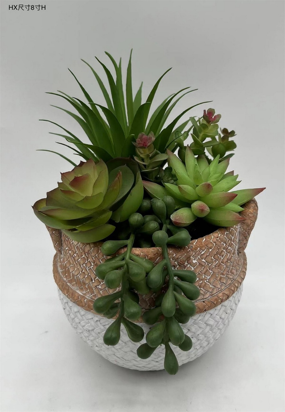 Botanical succulent