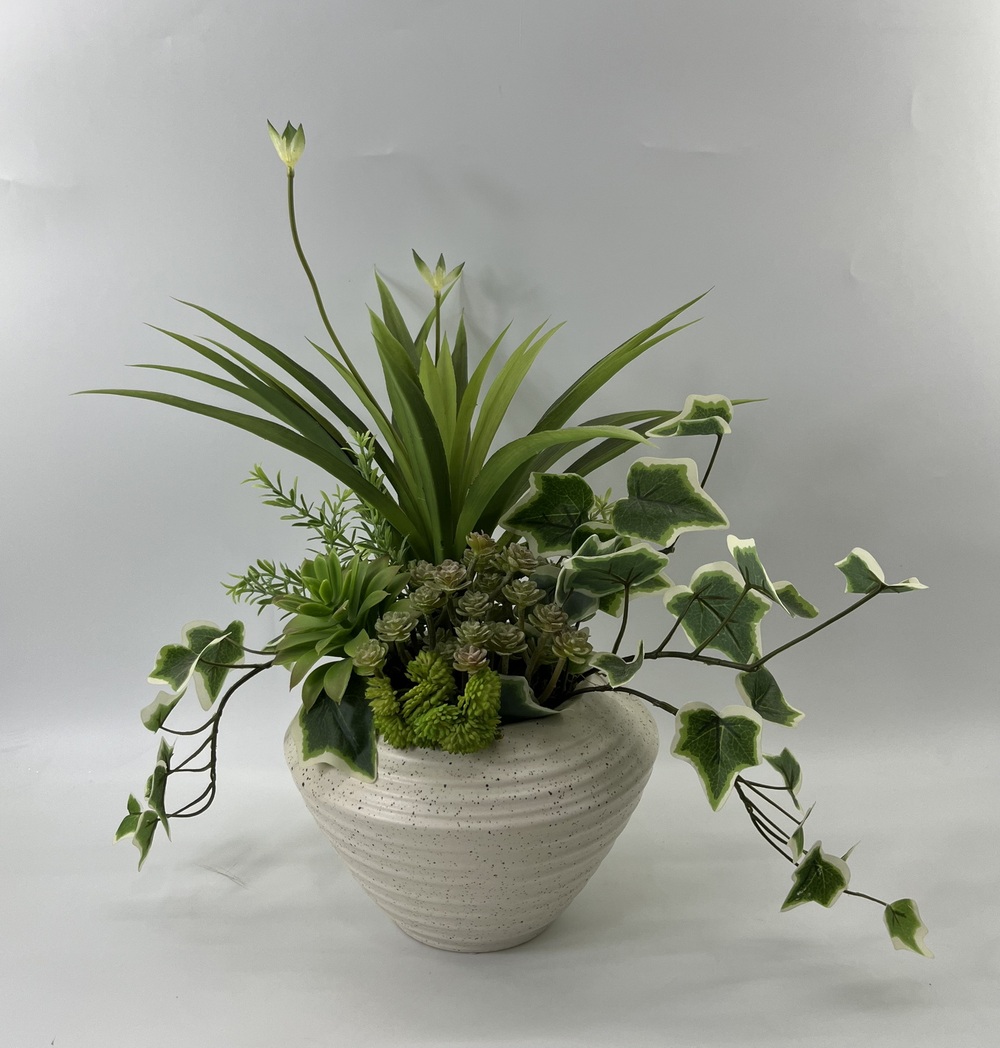 Botanical succulent