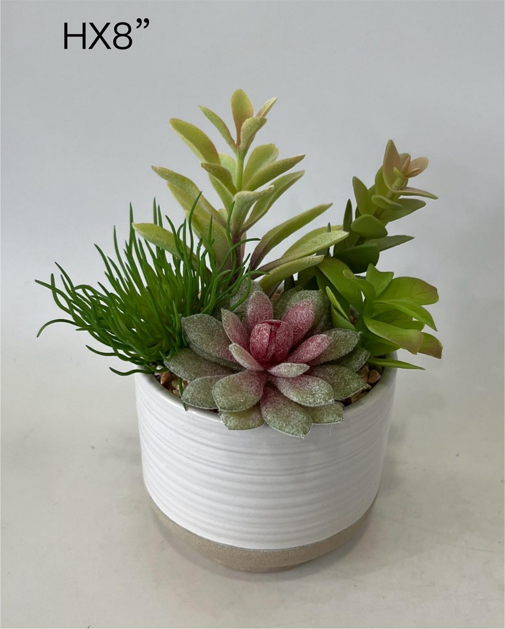Botanical succulent