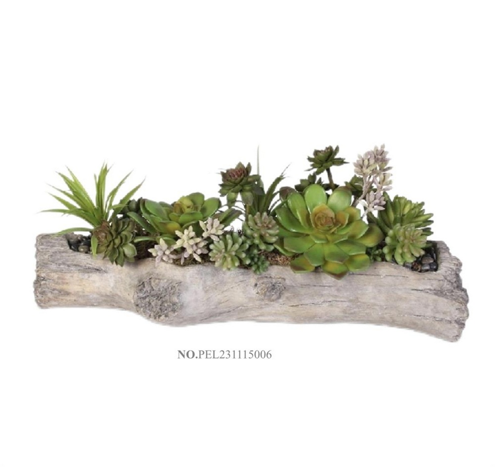 Botanical succulent