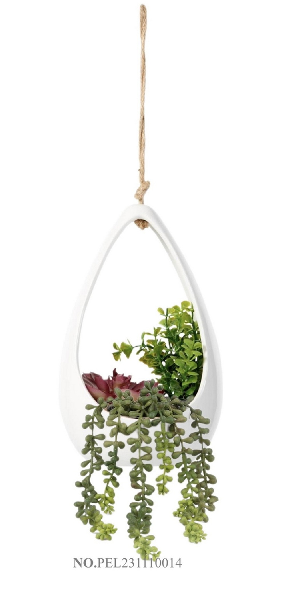 Botanical succulent